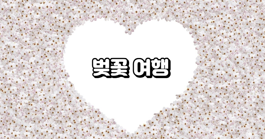 벚꽃 여행