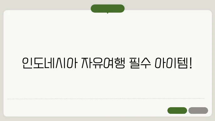 인도네시아 여행 준비물 (인도네시아 자유여행 잘 다녀오기)