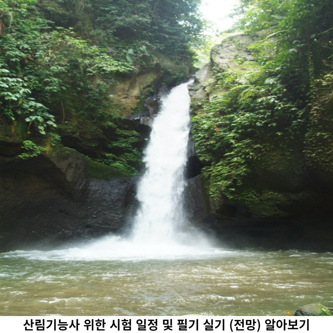 산림기능사 