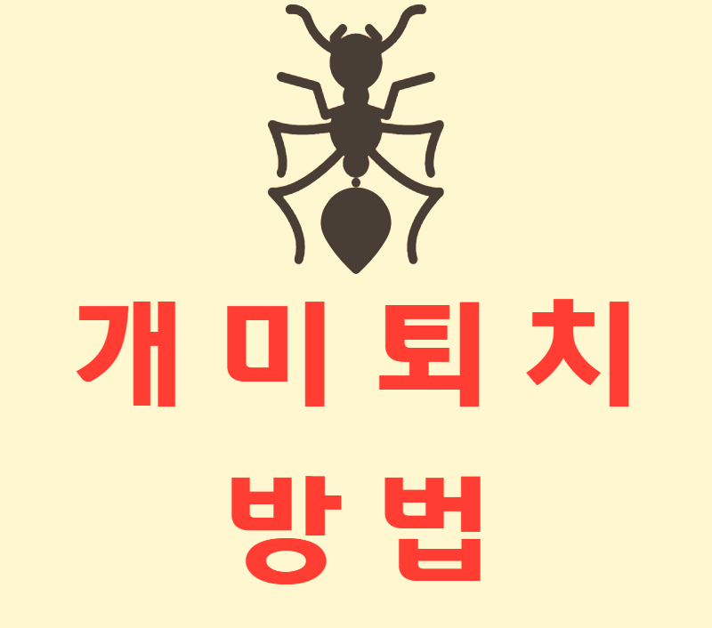  유용한 개미 퇴치법