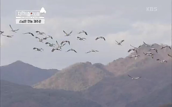 [3회] 자연의 철학자들 - KBS새처럼 살고 싶어라] 자연이라는 위대한 법당에서 숲의 울림, 새들의 소리를 들으며 깨달음을 얻은 도연 스님.ts_20220320_153605.385.jpg