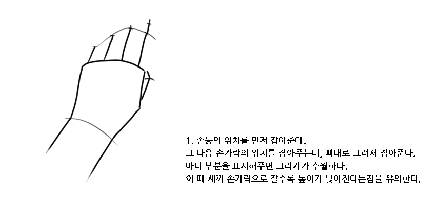 손그리는법-뼈대 스케치