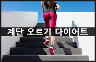  다이어트 - 스타일리스트 한혜연 다이어트 비법