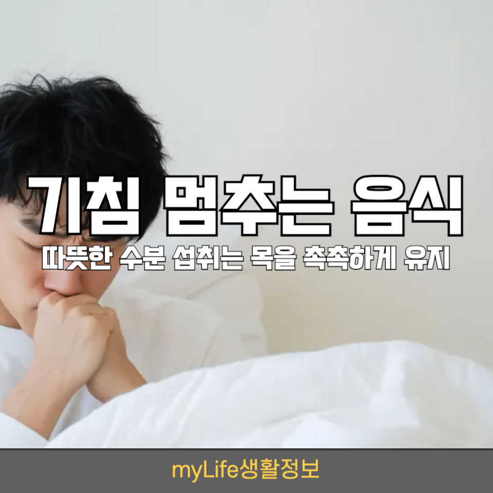 기침 멈추는 음식