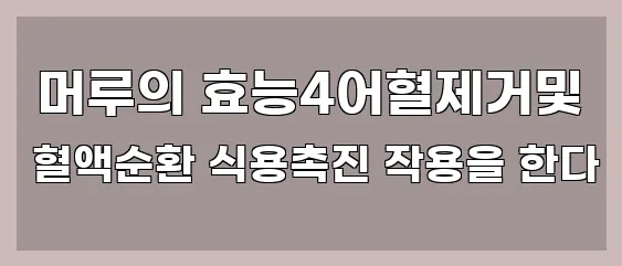  머루의 효능4어혈제거및 혈액순환 식용촉진 작용을 한다