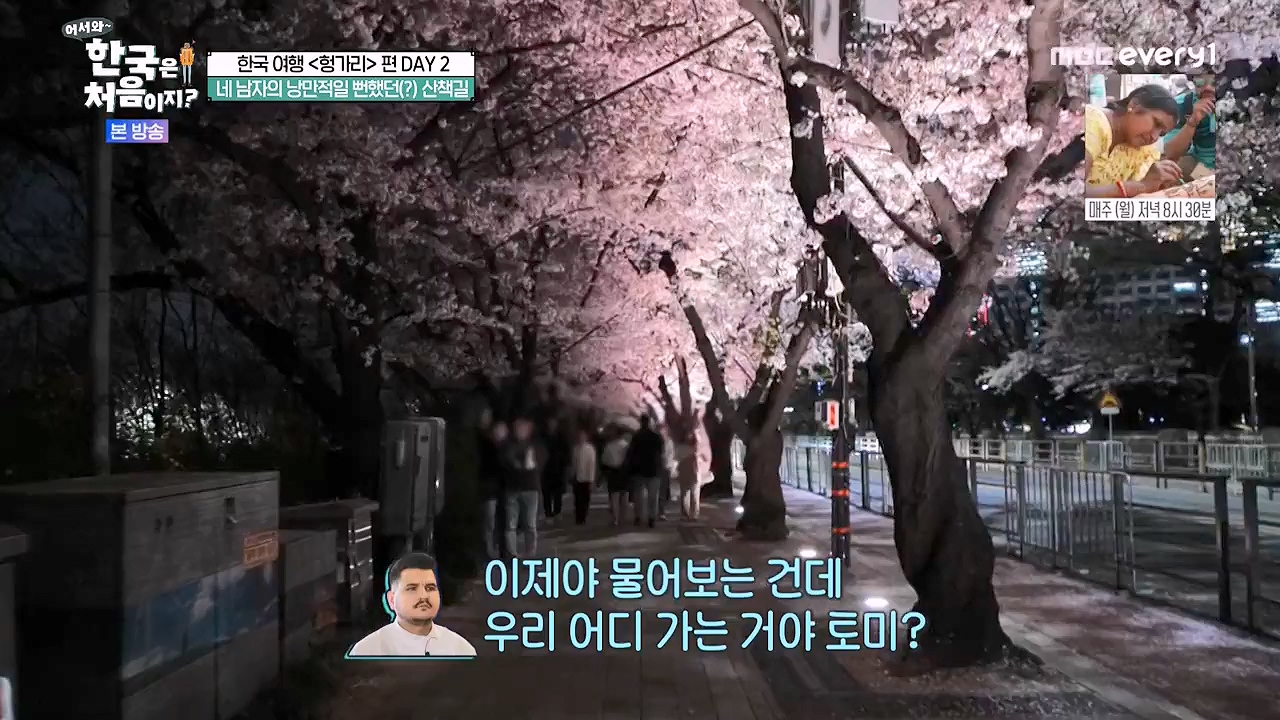 어서와 한국은 처음이지 시즌2.E317.240607p-NEXT.mp4_20240607_201732.118.jpg