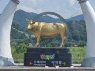  (횡성 맛집) 축협한우프라자본점 후기!!!