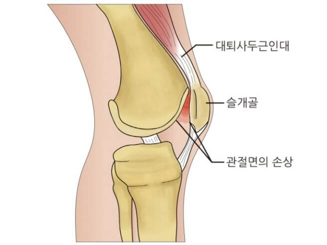 연화랑 이미지