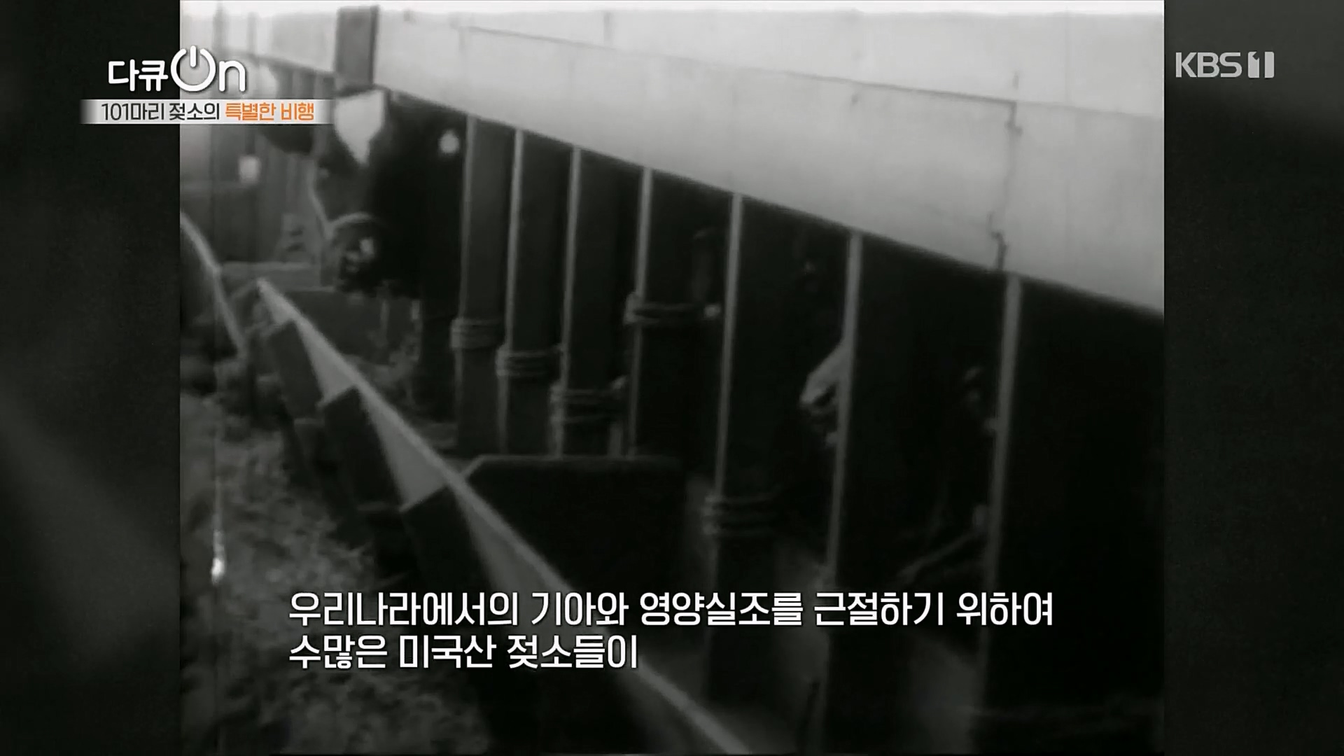 다큐 On.E184.230203p.H264-F1RST.mp4_20230211_173918.194.jpg