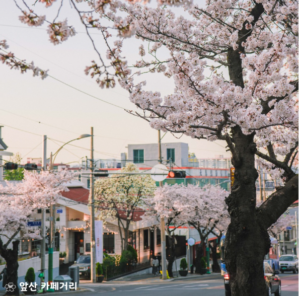 앞산 카페거리 2