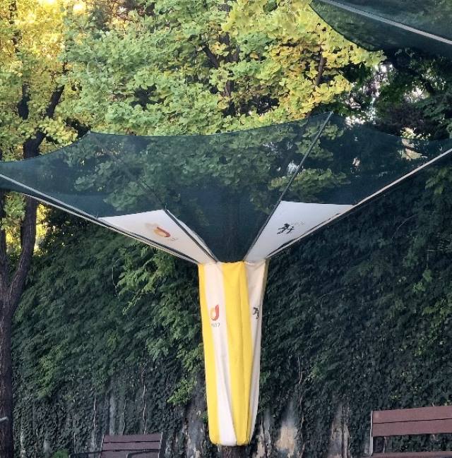 은행나무 열매가 길가에 떨어져 냄새를 피우며 지저분해지는 것을 방지하기 위해 수집망을 씌워놓았다.