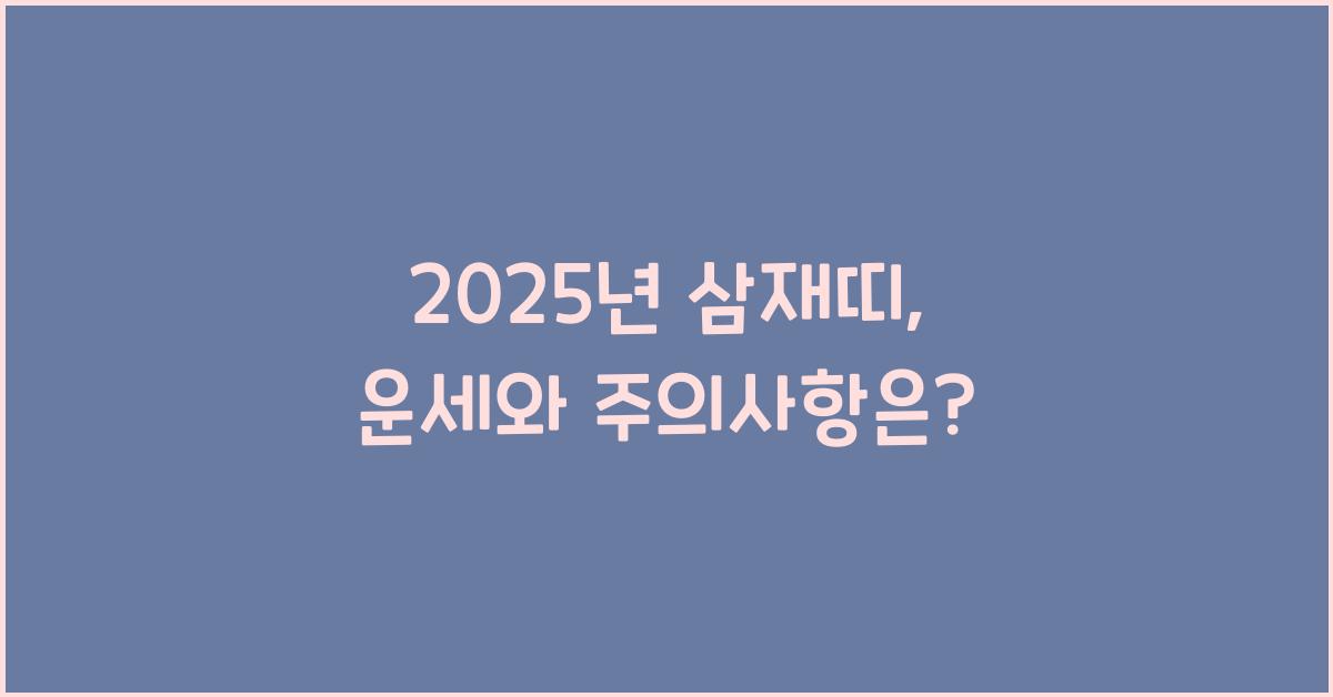 2025년 삼재띠