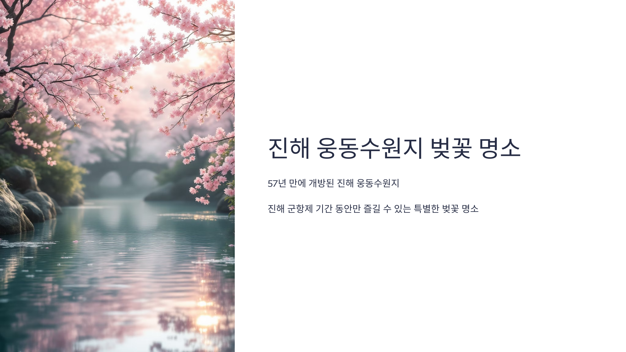 진해 웅동수원지 벚꽃명소