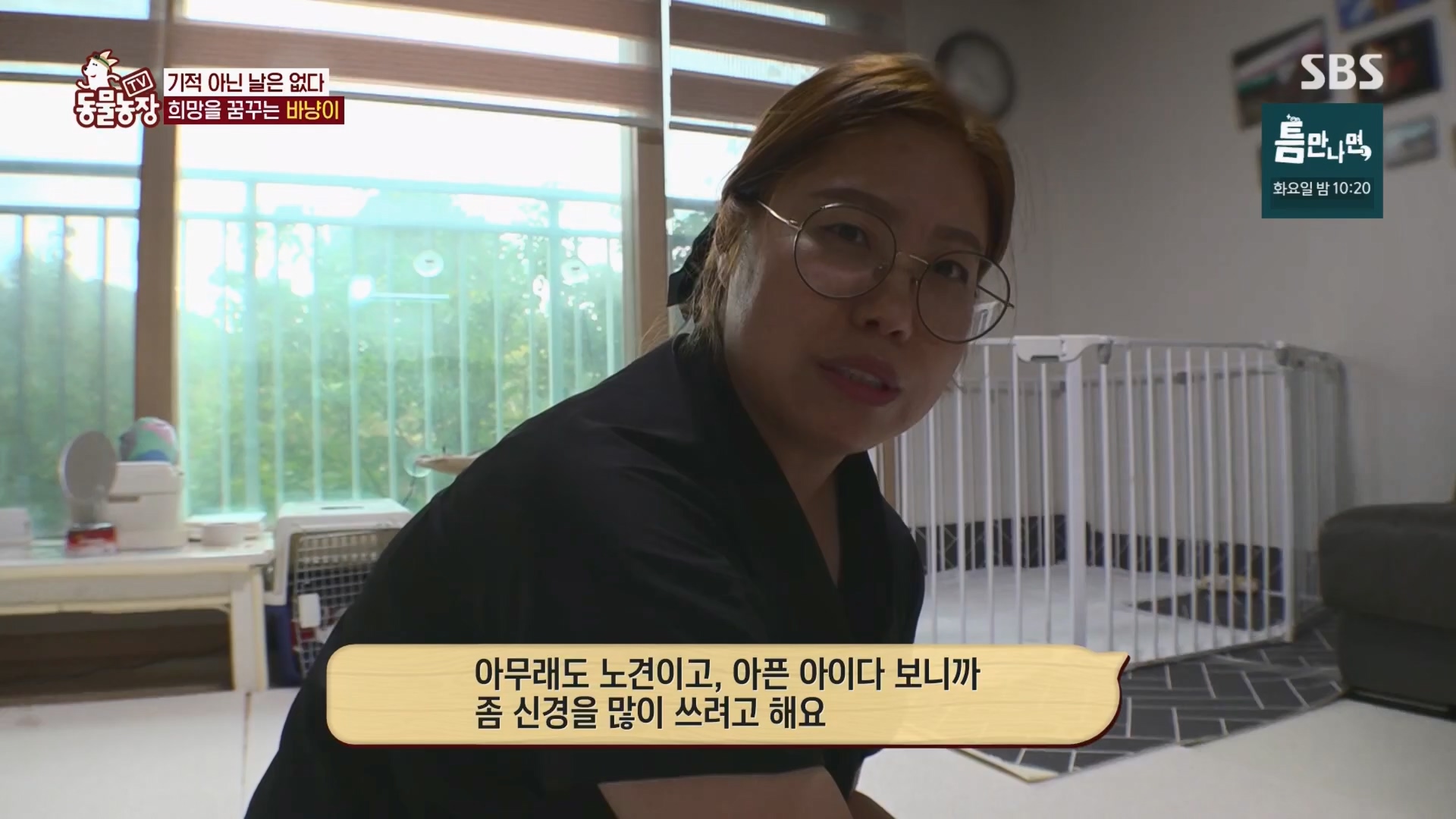 TV 동물농장.E1194.241027p.H264-F1RST.mp4_20241027_162732.294.jpg