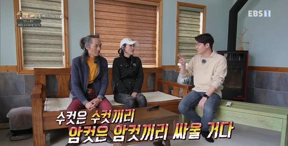 풍산개의치열한 혈투와 전쟁 - EBS 세상에 나쁜 개는 16