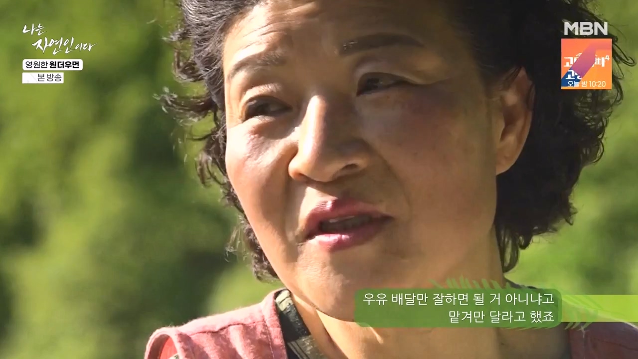 나는 자연인이다.E606.240523p-NEXT.mp4_20240523_195551.609.jpg