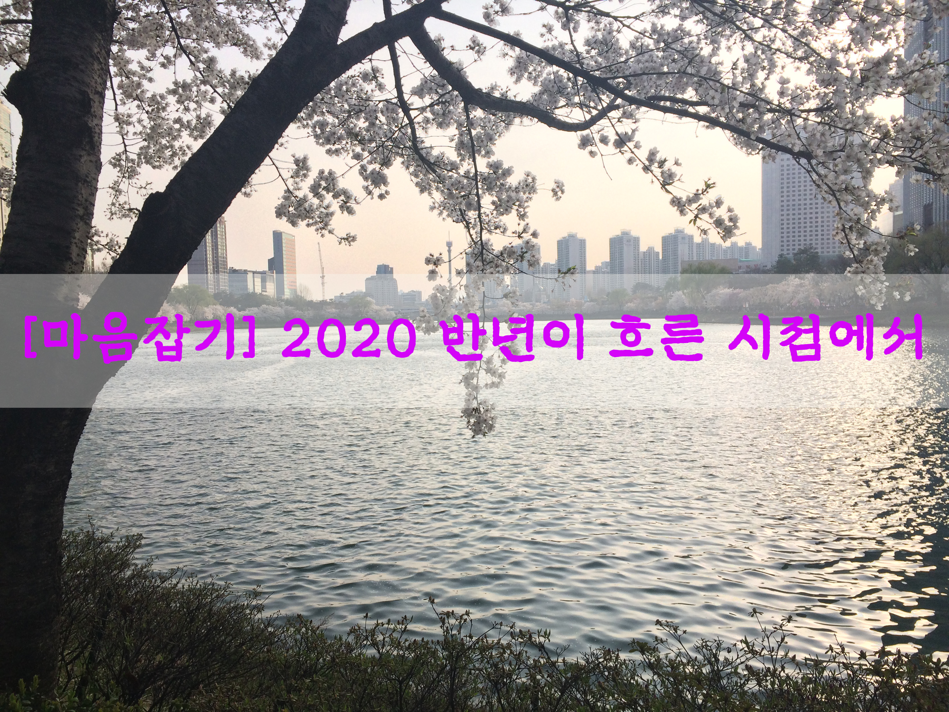  [마음잡기] 2020 반년이 흐른 시점에서