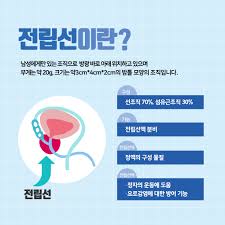 전립선염