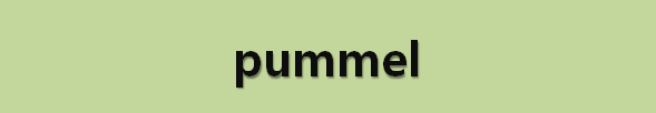  뉴스로 영어 공부하기: pummel (계속 때리다)