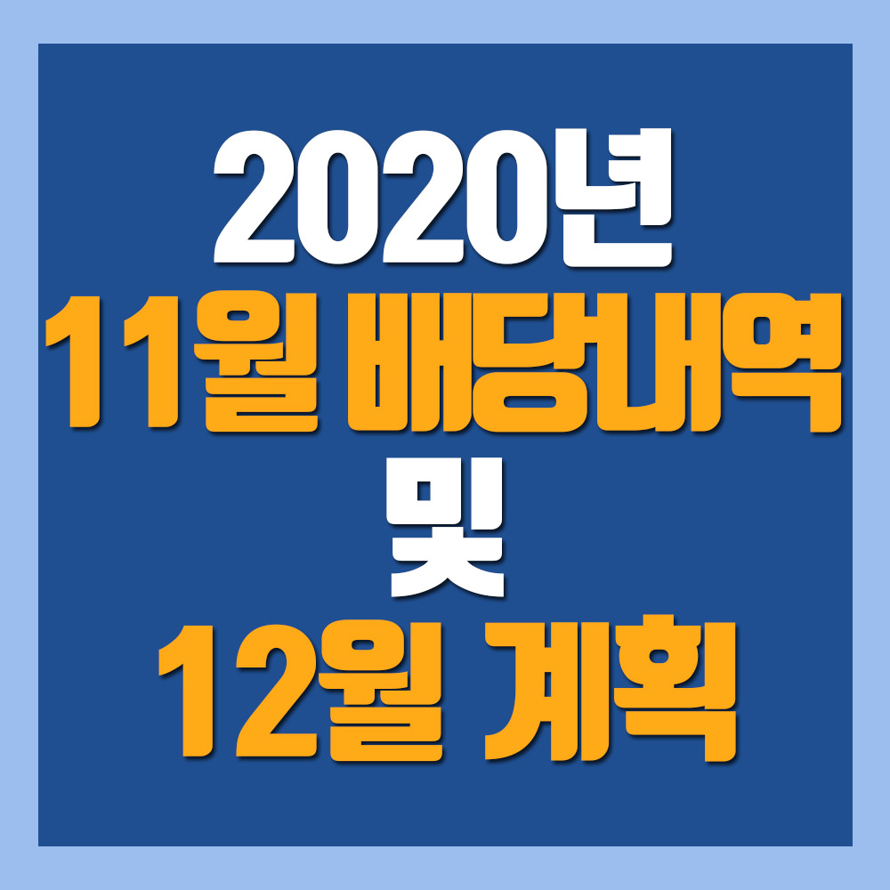 2020년 11월 배당내역 및 결과분석
