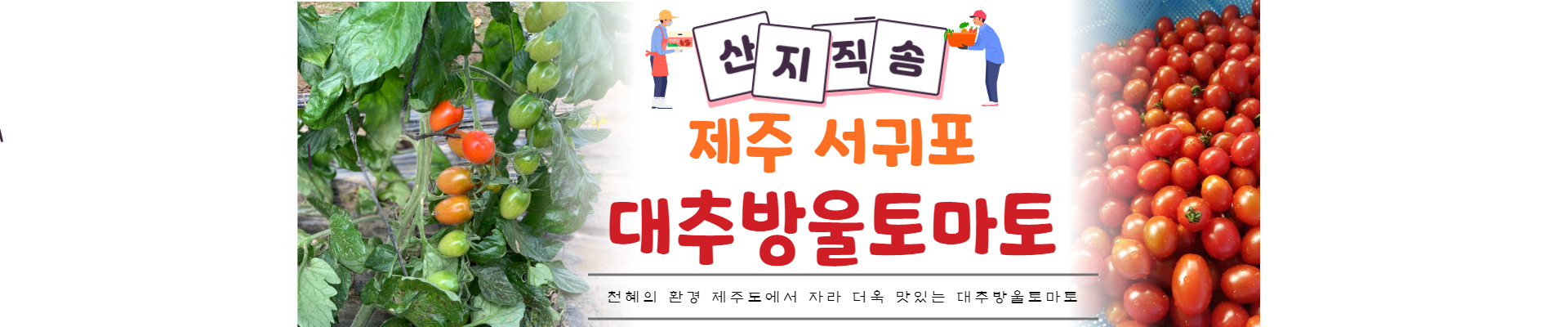  팜팜팜스 창업일기 - 통수