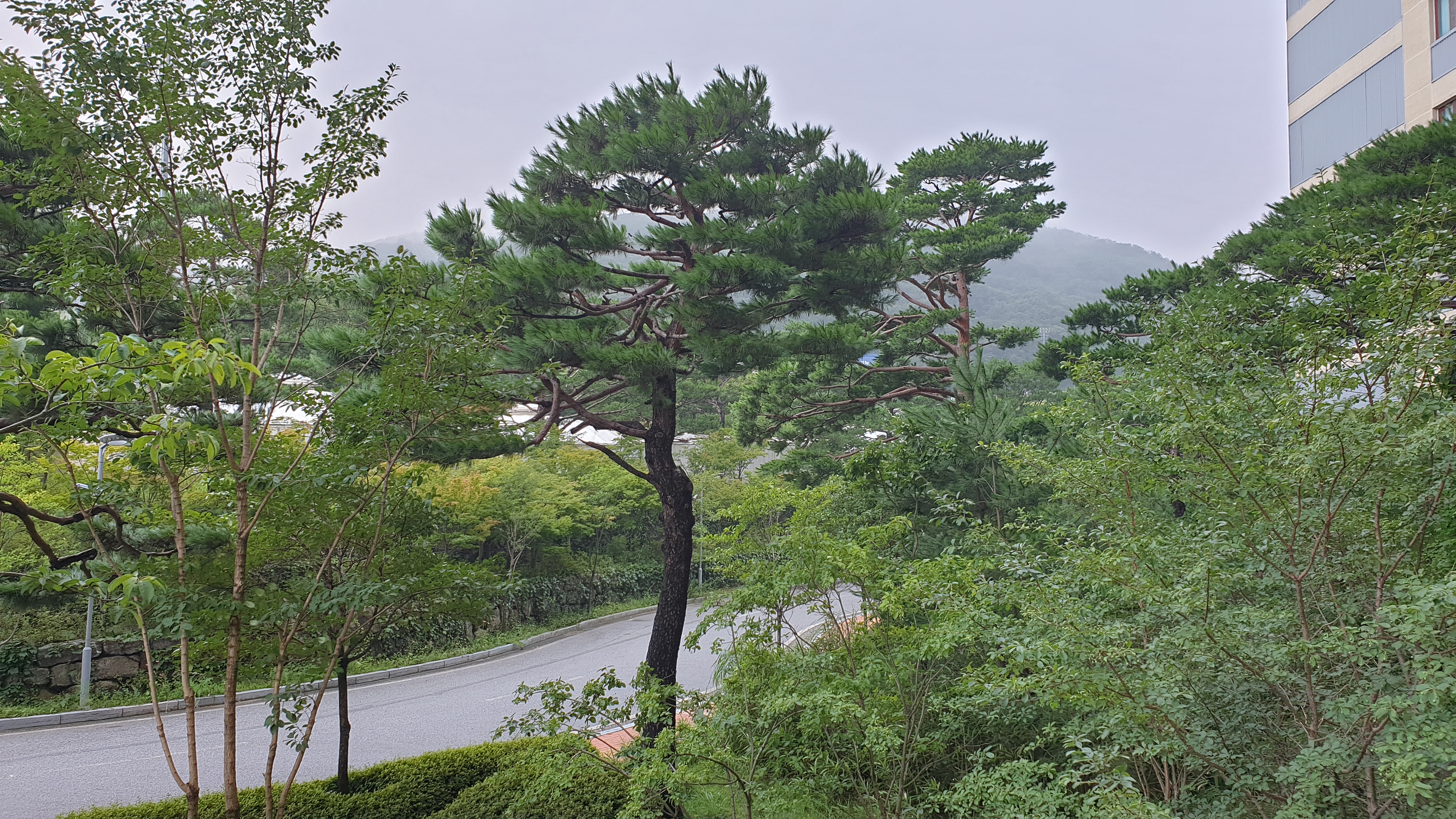 1374 단양 스카이워크 ~잔도길, 4