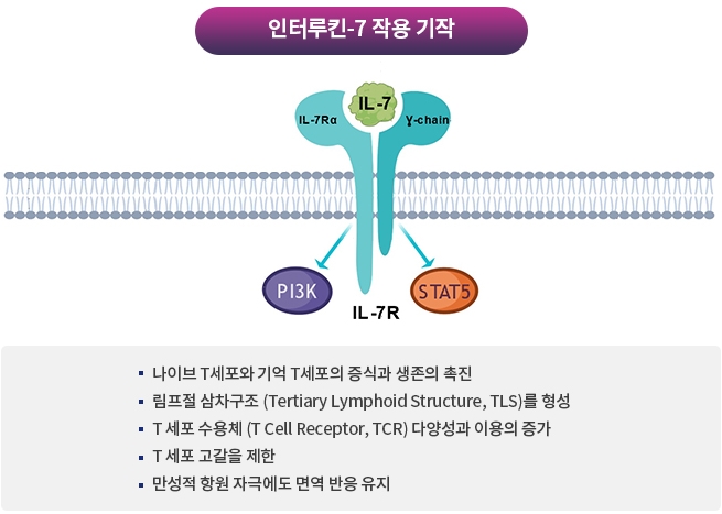  네오이뮨텍 공모가 및 상장일정 정리