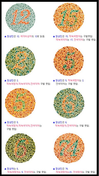 색맹 테스트