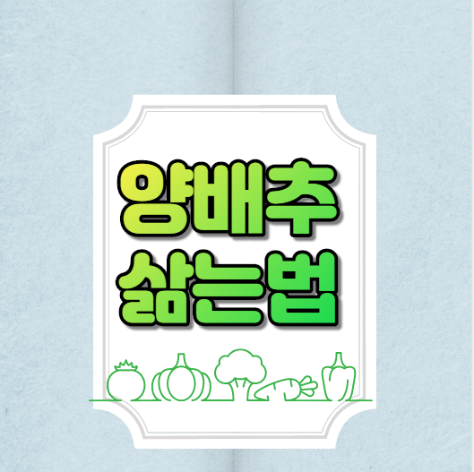  양배추 삶는법 나도 알아보기.