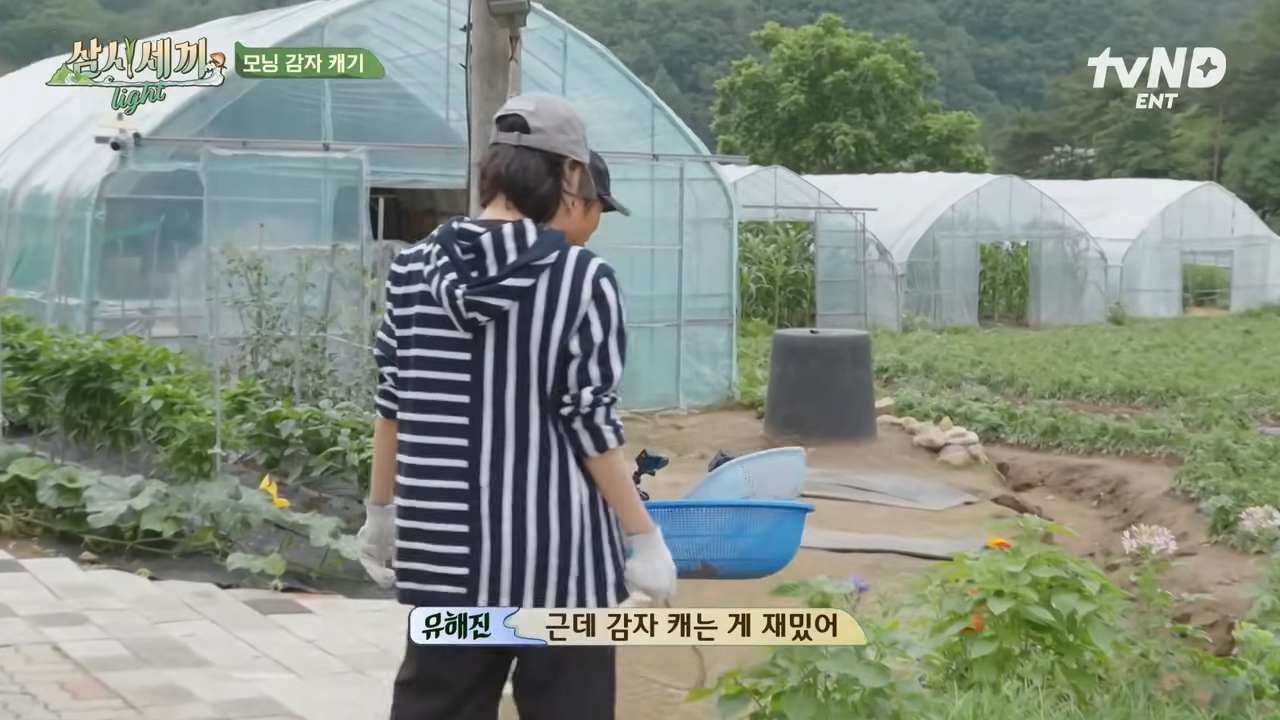 삼시세끼 김고은 옷