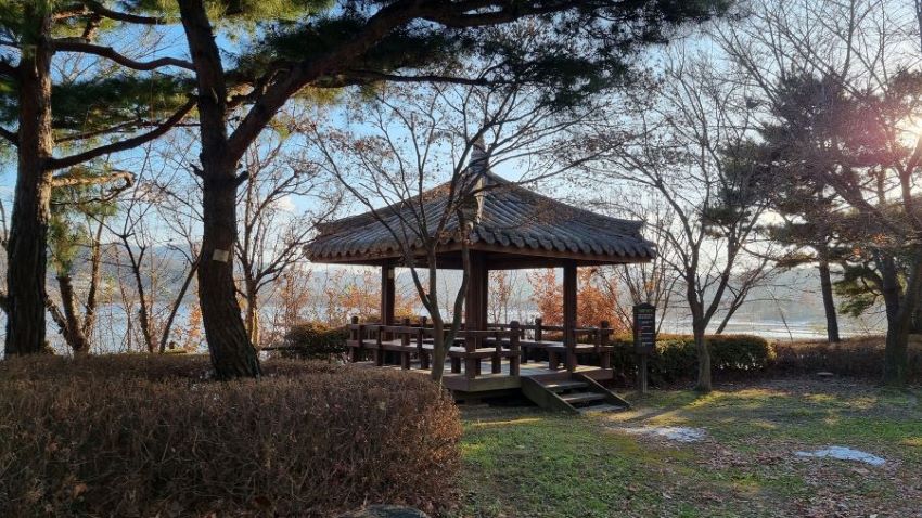 쉼터 사각정자, 좌우에 키 큰 소나무, 뒤로 잡목, 하얀하늘,