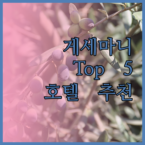 카르타헤나 호텔 추천 게세마니 지역 