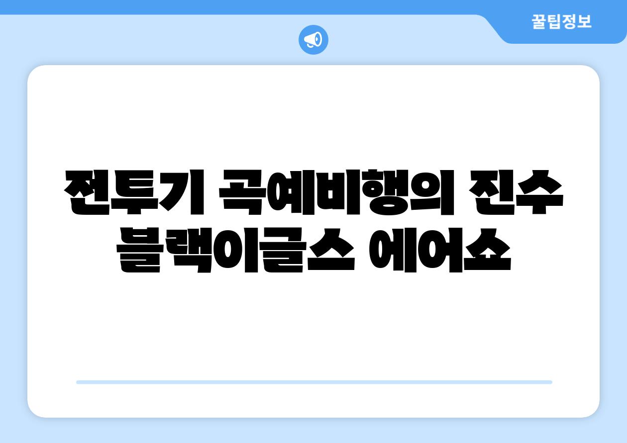 전투기 곡예비행의 진수 블랙이글스 에어쇼