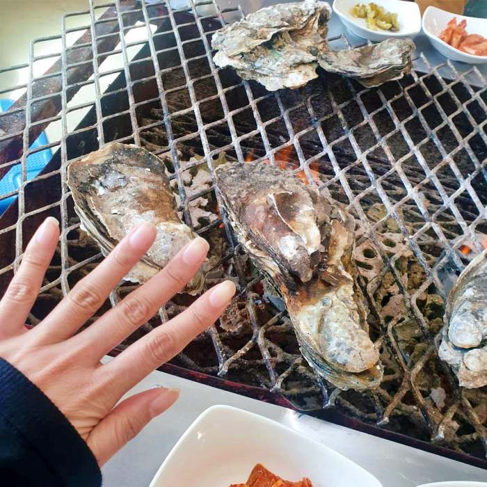 생방송오늘저녁 섬진강 하동 벚굴 구이 강굴 벚굴찜 벚굴전 벚굴죽 재첩국 재첩회무침 맛집 추천