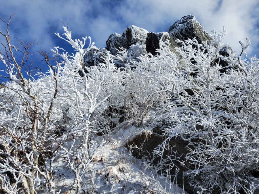 14일 & 보식총정리 1