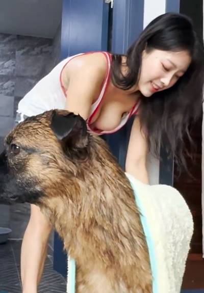 왕 큰 강아지 목욕시키는 주인 헐렁 민소매 가슴골 회색 돌핀