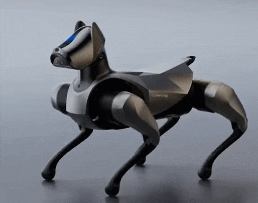  이제 반려견도 로봇이 대체? VIDEO: Pet of the future? Chinese tech firm Xiaomi unveils a robotic dog..