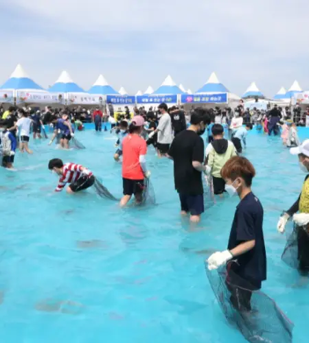 서천 자연산 광어 도미축제_9