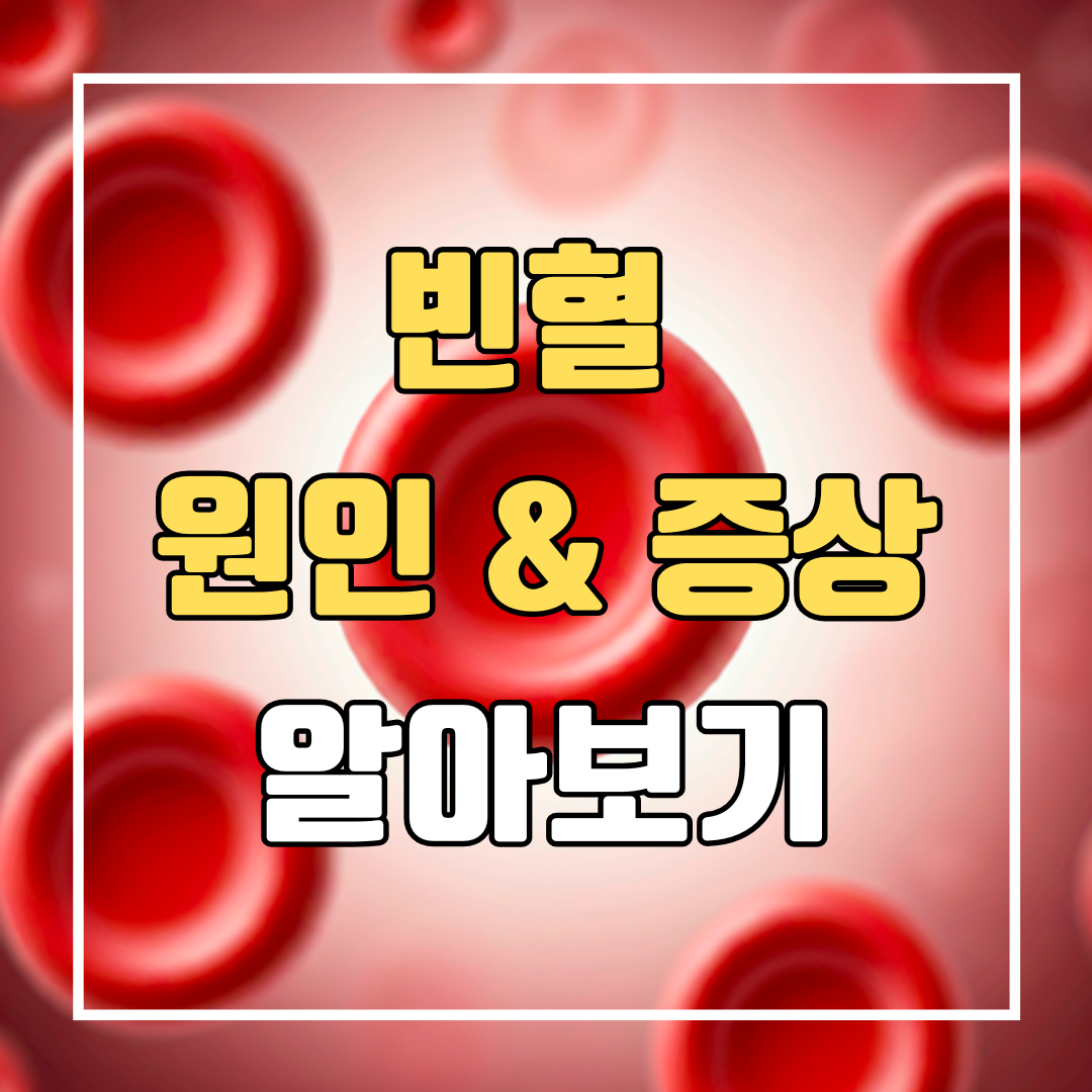 빈혈 원인 증상 알아보기