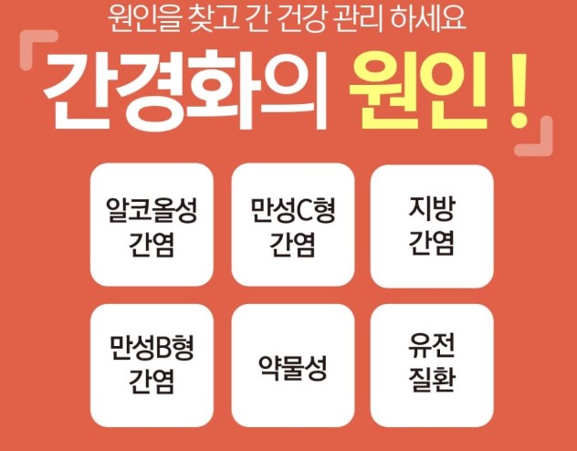 간경화의 원인