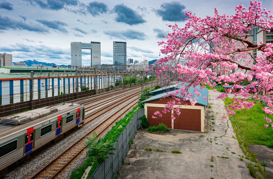 KTX 경로할인 인터넷 예약