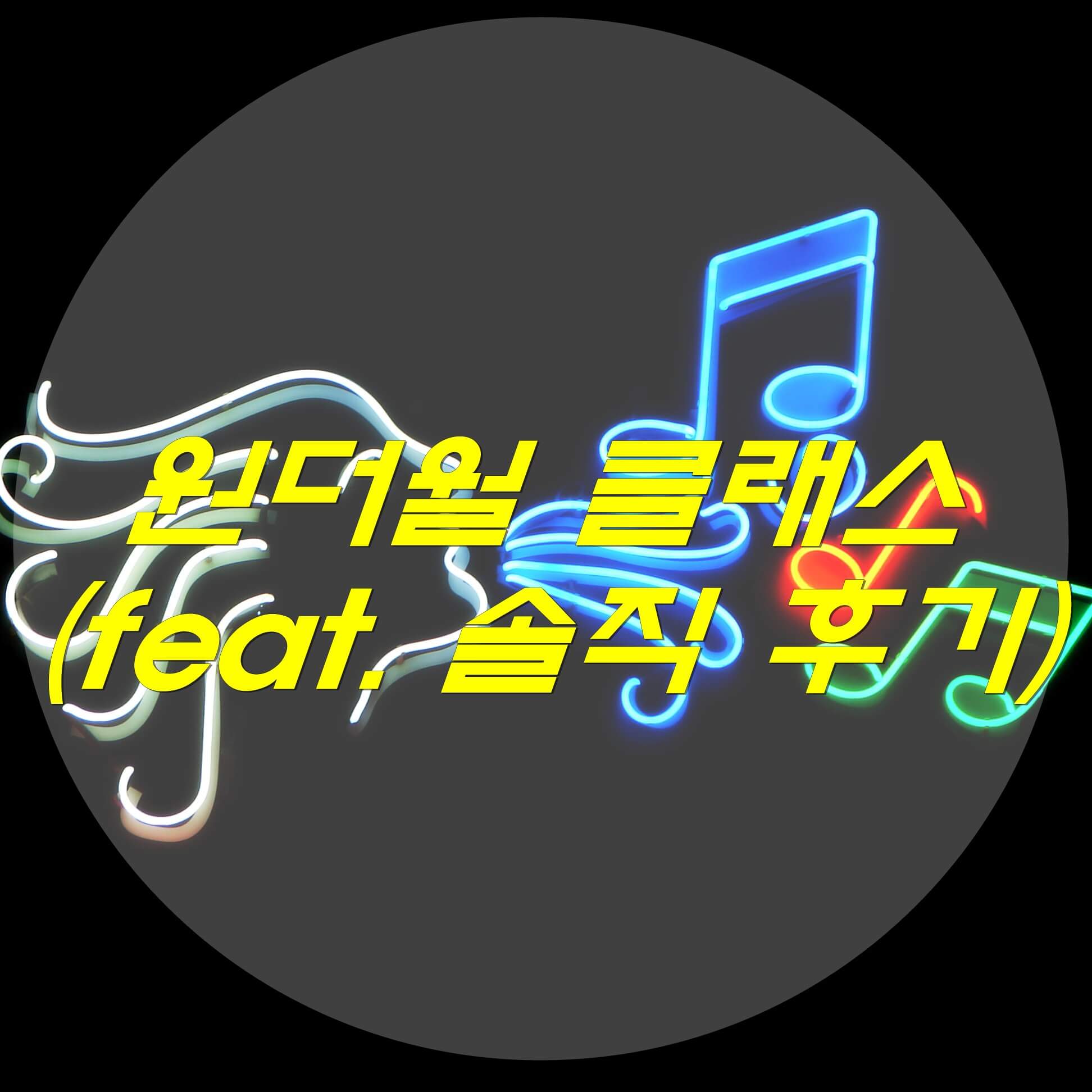  원더월 솔직 후기 (feat. 내돈내산)