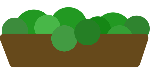 브로콜리의 이점