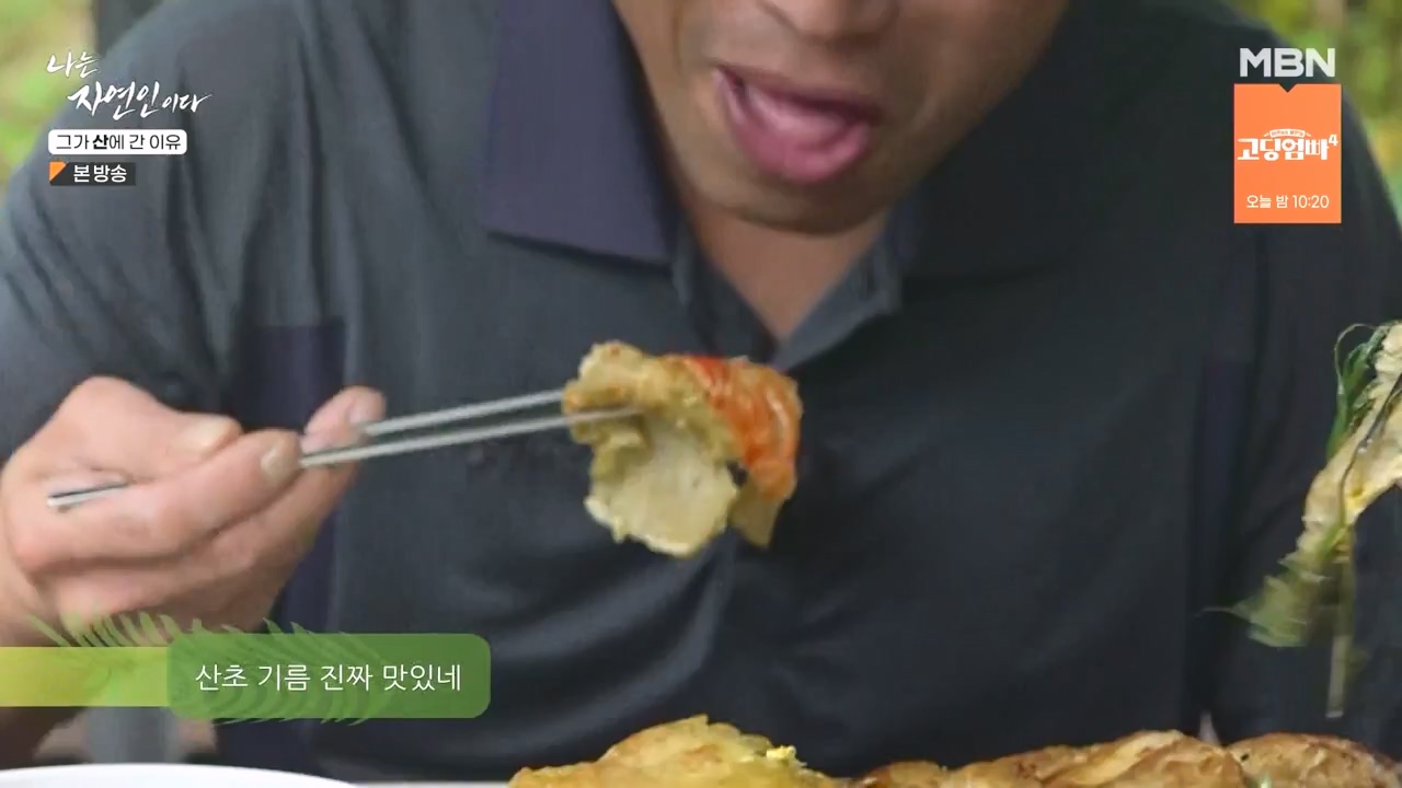 나는 자연인이다.E575.231012p-NEXT.mp4_20231012_201000.696.jpg