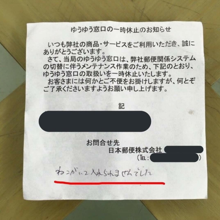  고양이가 있어서 우편물을 배달하지 못했습니다.jpg