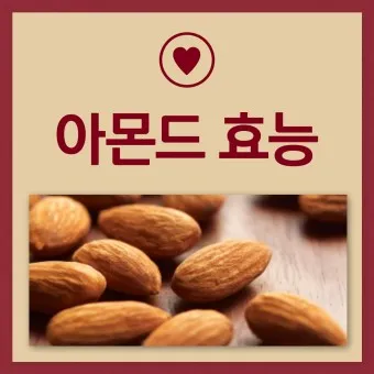 아몬드 효능 하루 섭취량 칼로리_16