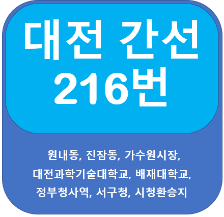 대전 216번 버스 노선 안내