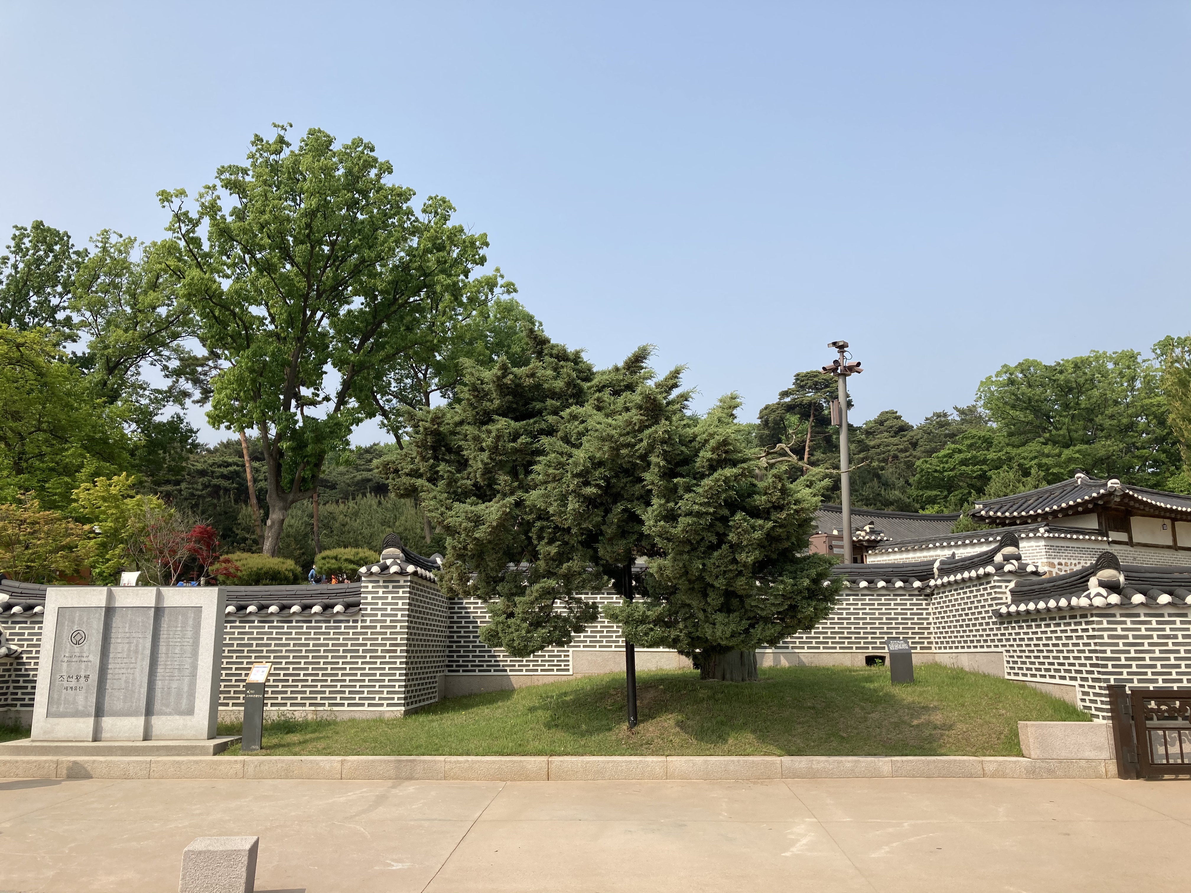  경기도 가볼만한 곳, 정조 사도세자 융건릉 숲길 산책과 역사