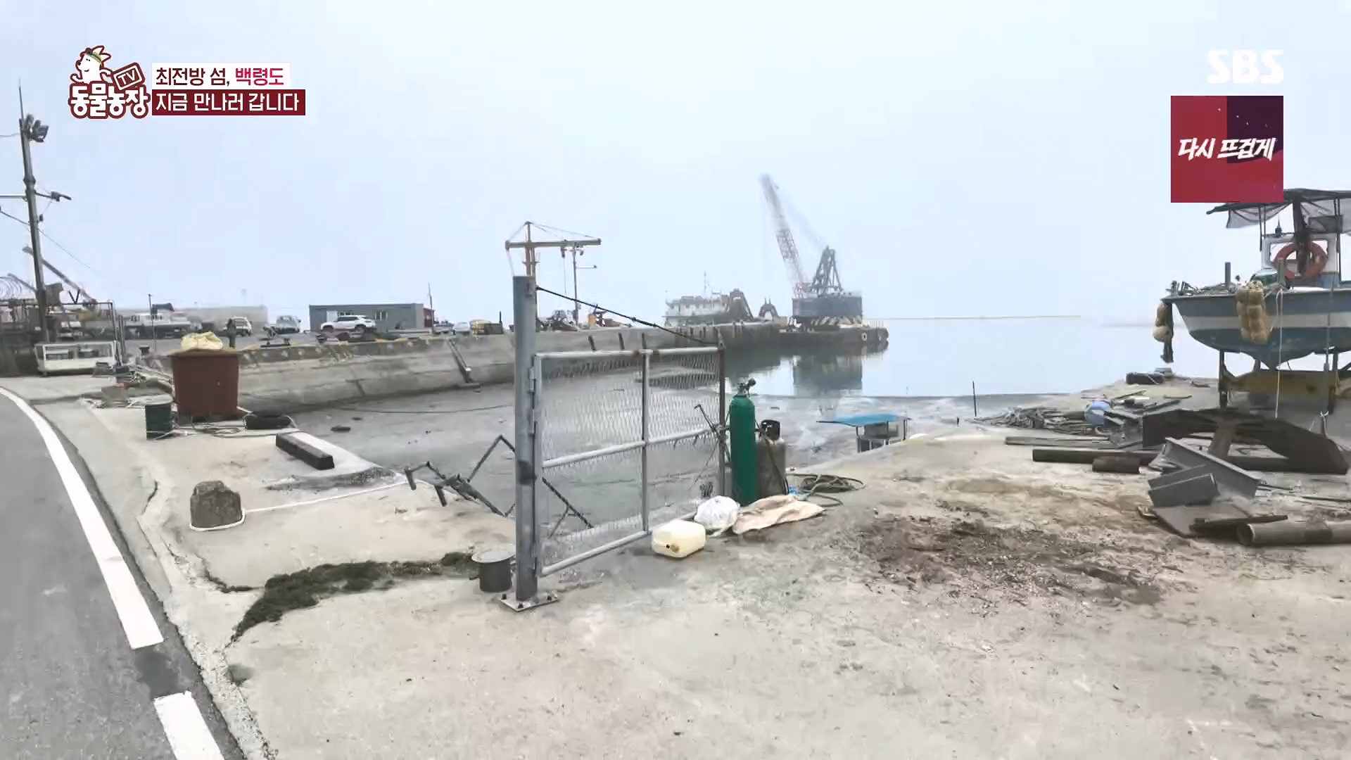 TV 동물농장.E1182.240728p.H264-F1RST.mp4_20240728_152544.746.jpg