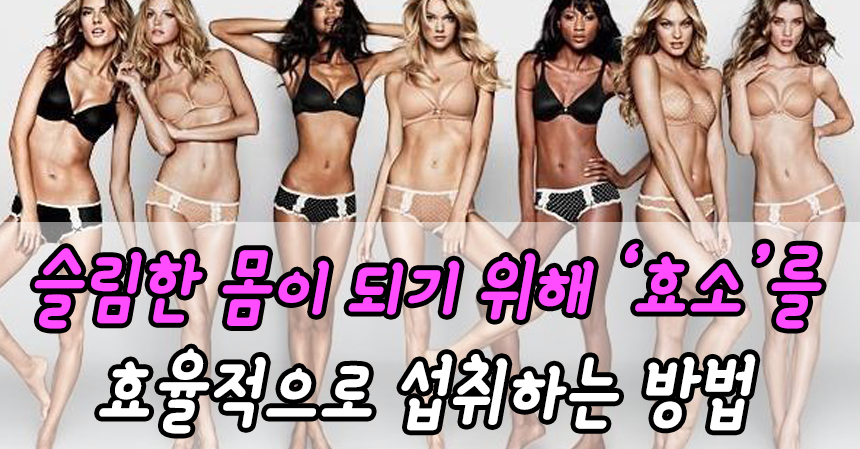  슬림한 몸이 되기 위해 '효소'를 효율적으로 섭취하는 방법